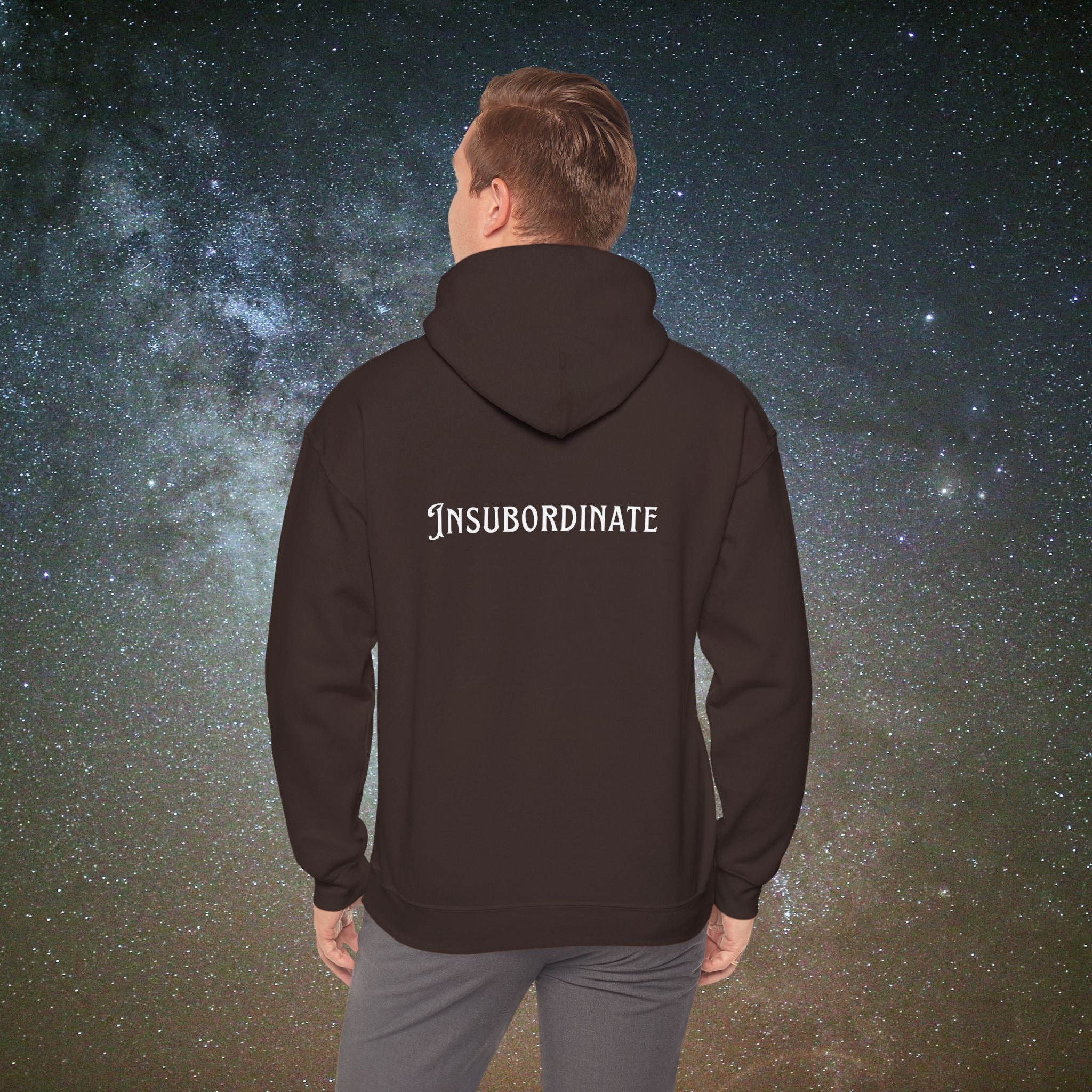 "Insubordinate" Softest Rebellion™ Minimalist Logo - Unisex/Men's Hoodie