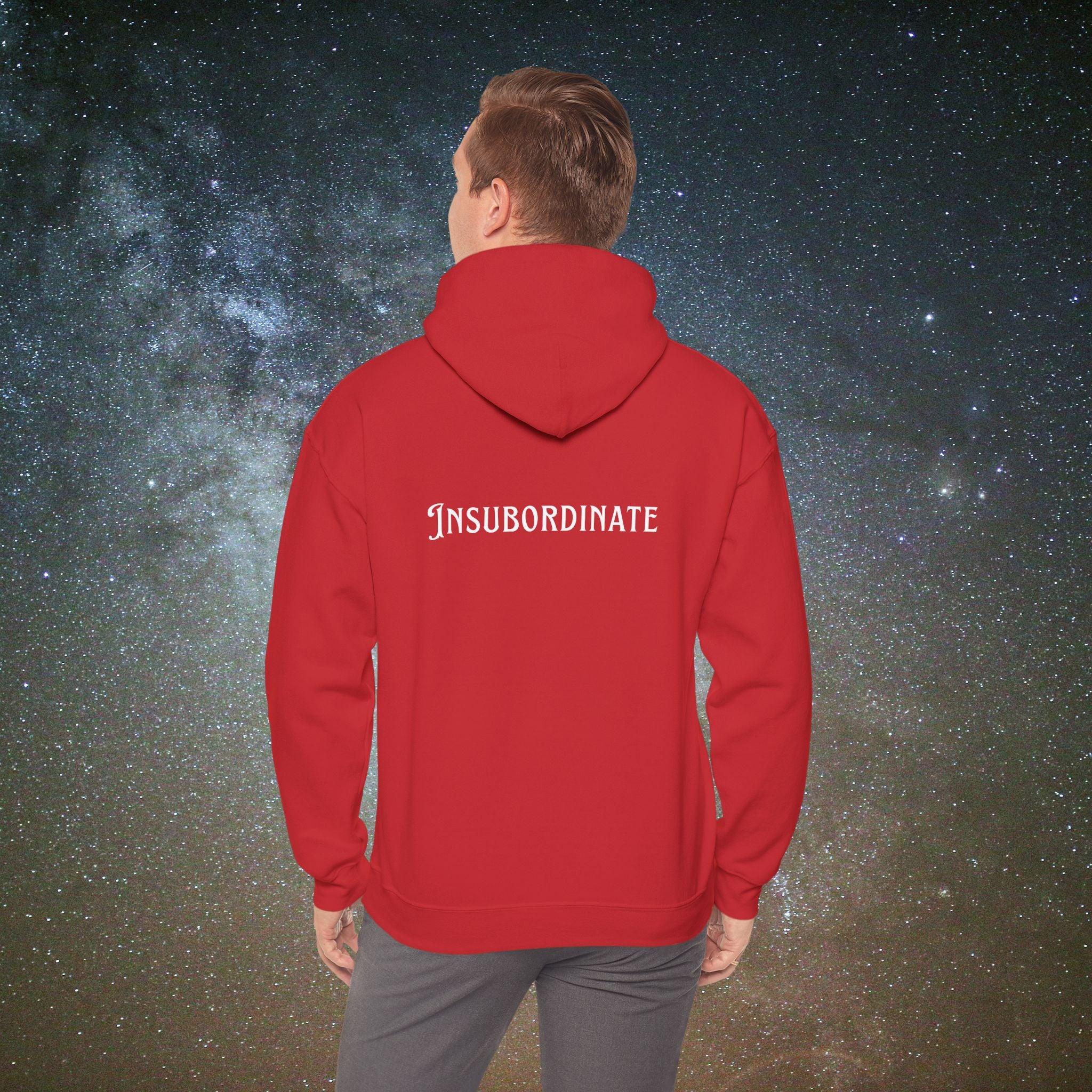 "Insubordinate" Softest Rebellion™ Minimalist Logo - Unisex/Men's Hoodie