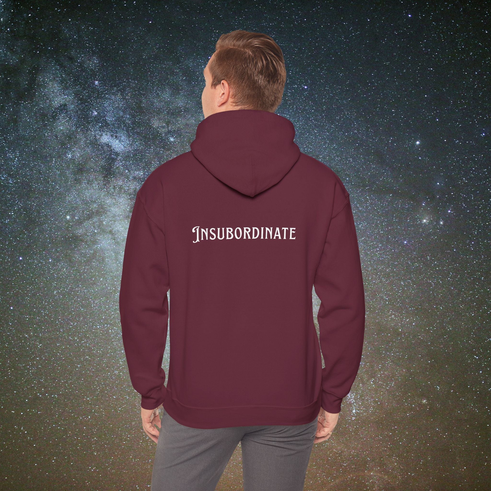 "Insubordinate" Softest Rebellion™ Minimalist Logo - Unisex/Men's Hoodie