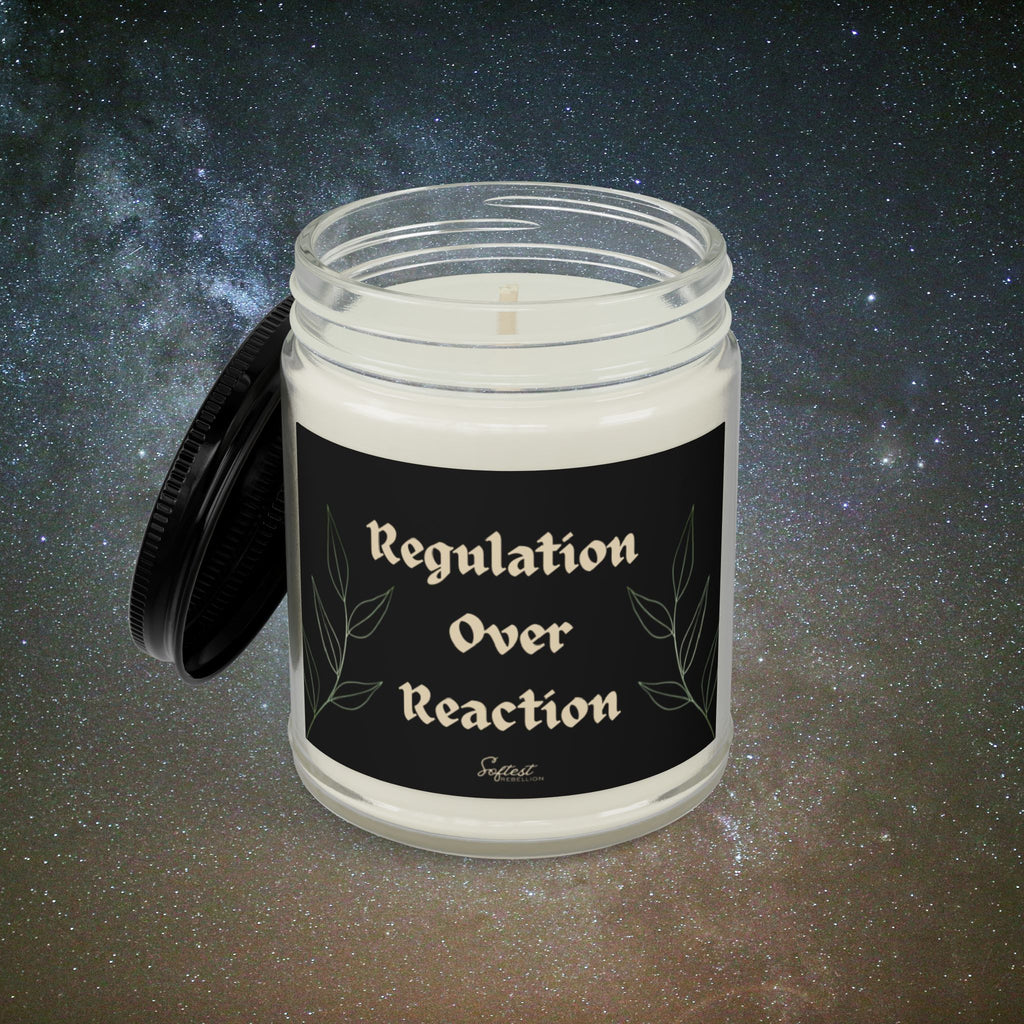 "Regulation Over Reaction" Scented/Unscented Soy Candle