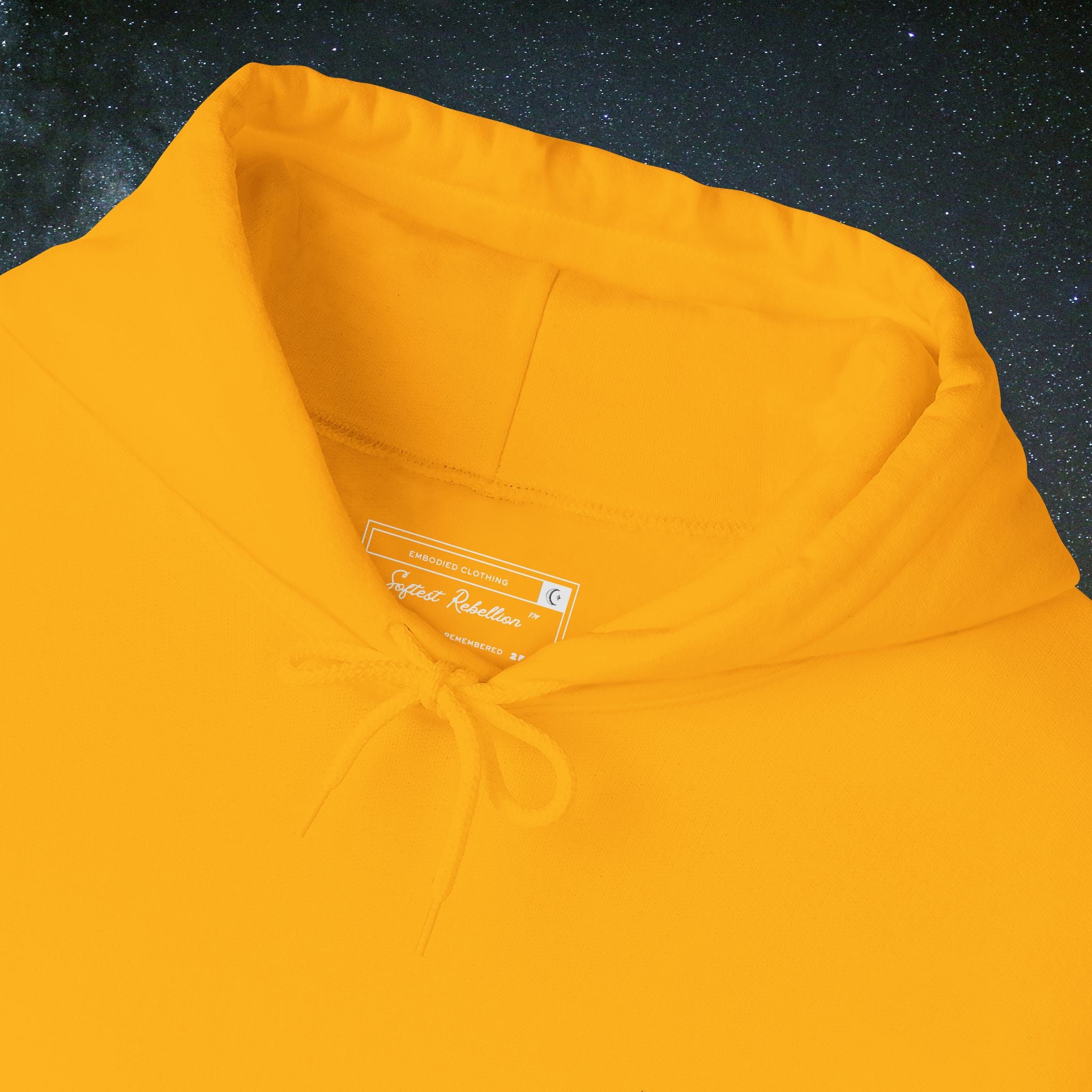 "Neutrality Feeds Injustice" Statement Hoodie