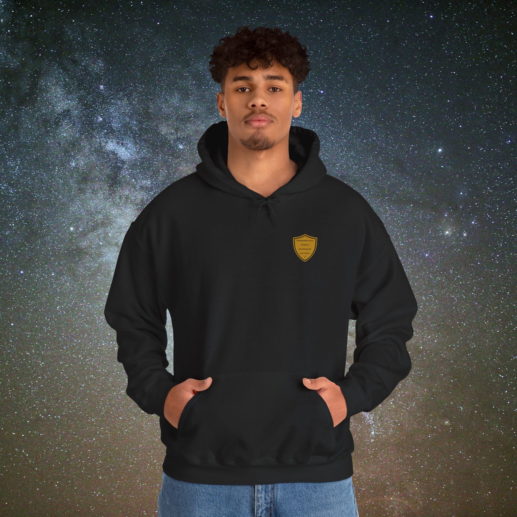 Beneath Her Moonlight™ “A Masculine Presence is Medicine” Hoodie