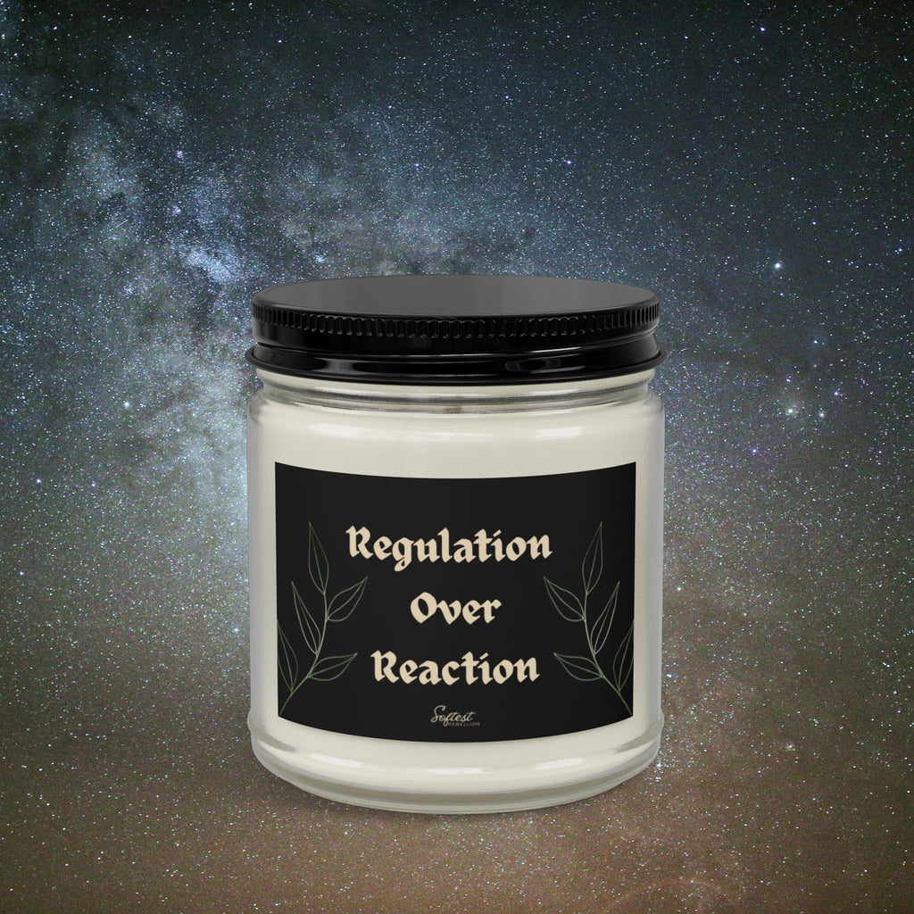 "Regulation Over Reaction" Scented/Unscented Soy Candle
