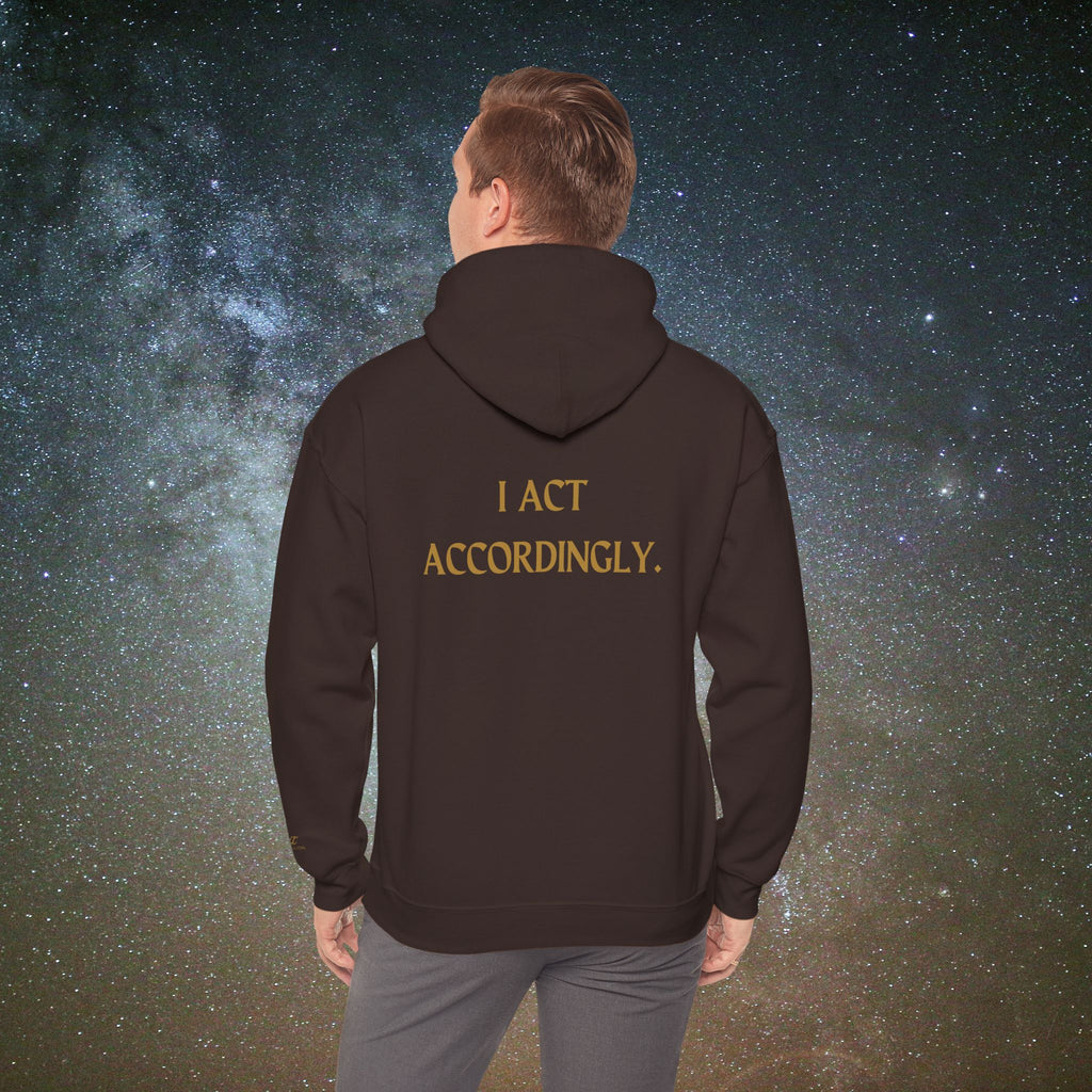 "I Act Accordingly" Hoodie