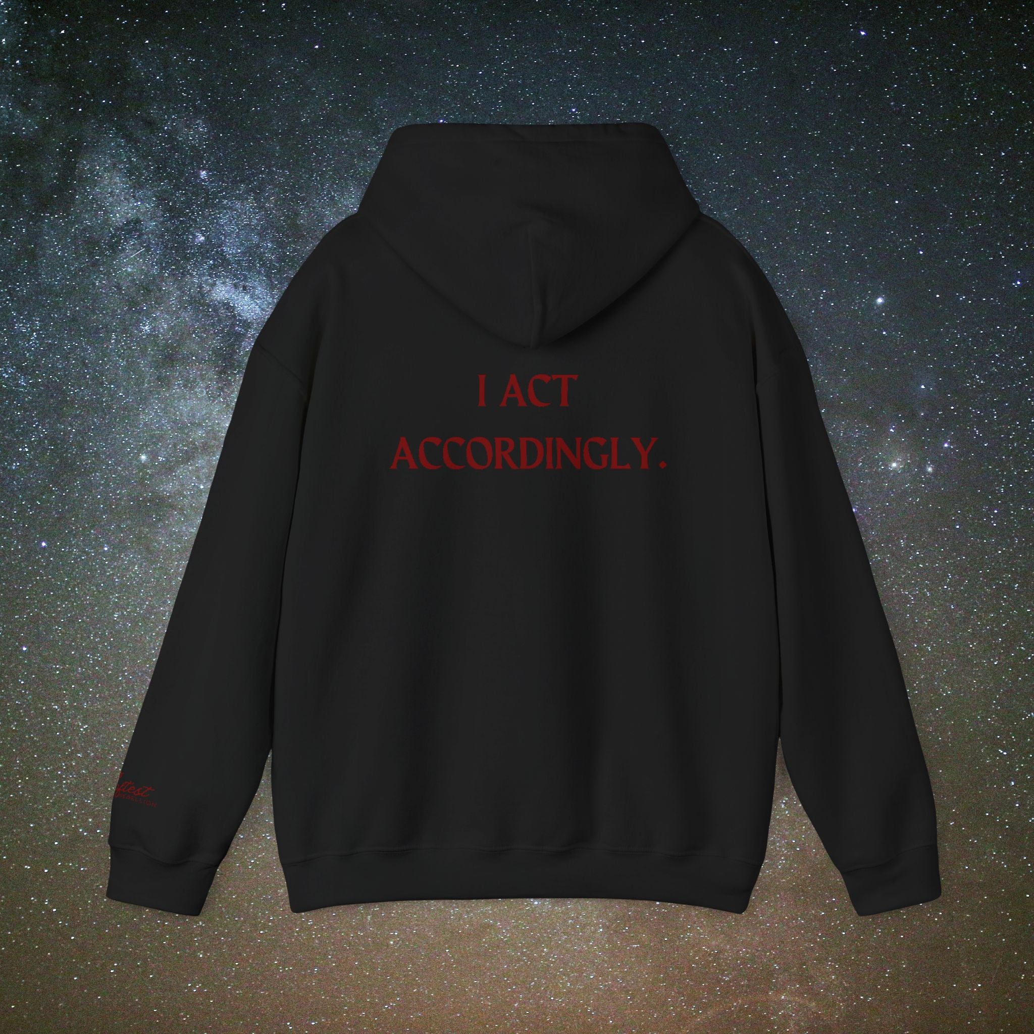 "I Act Accordingly" Hoodie